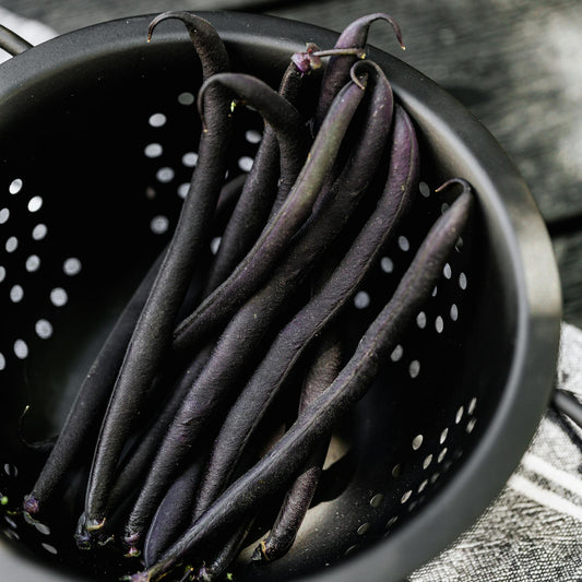 Small Garden Sowing - Bean - Dwarf French - Purple Teepee