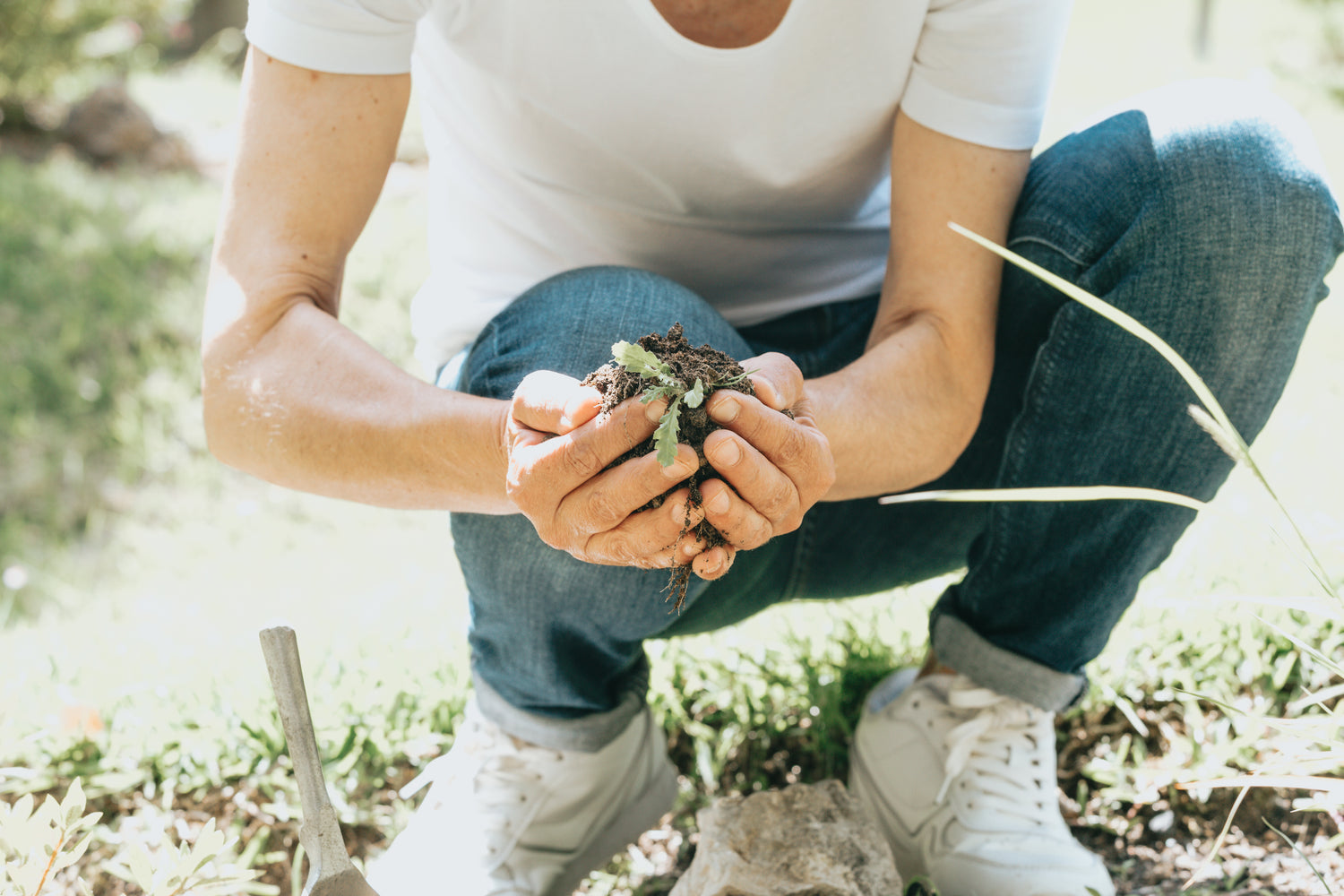 small garden sowing homepage