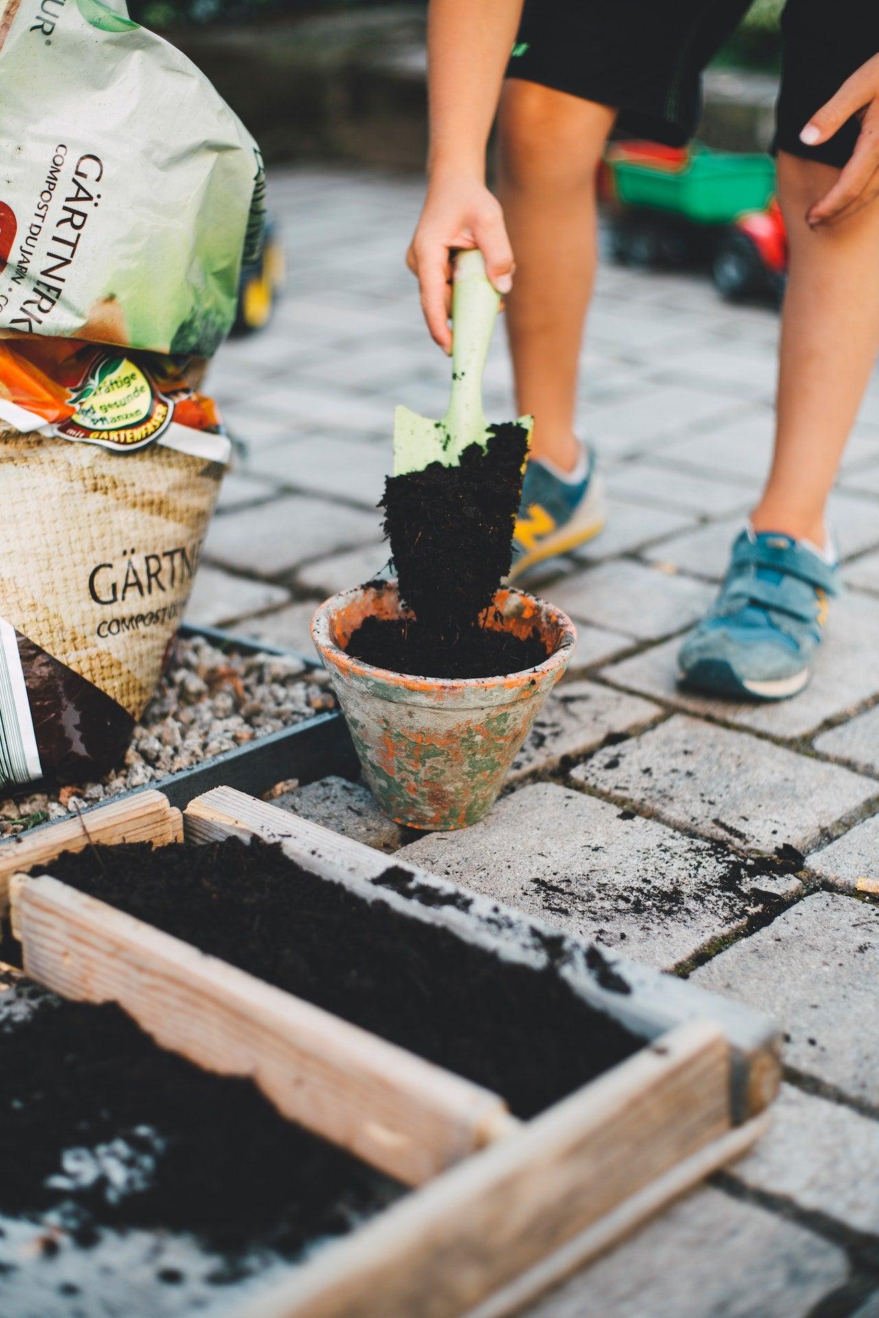 New In - Small Garden Sowing
