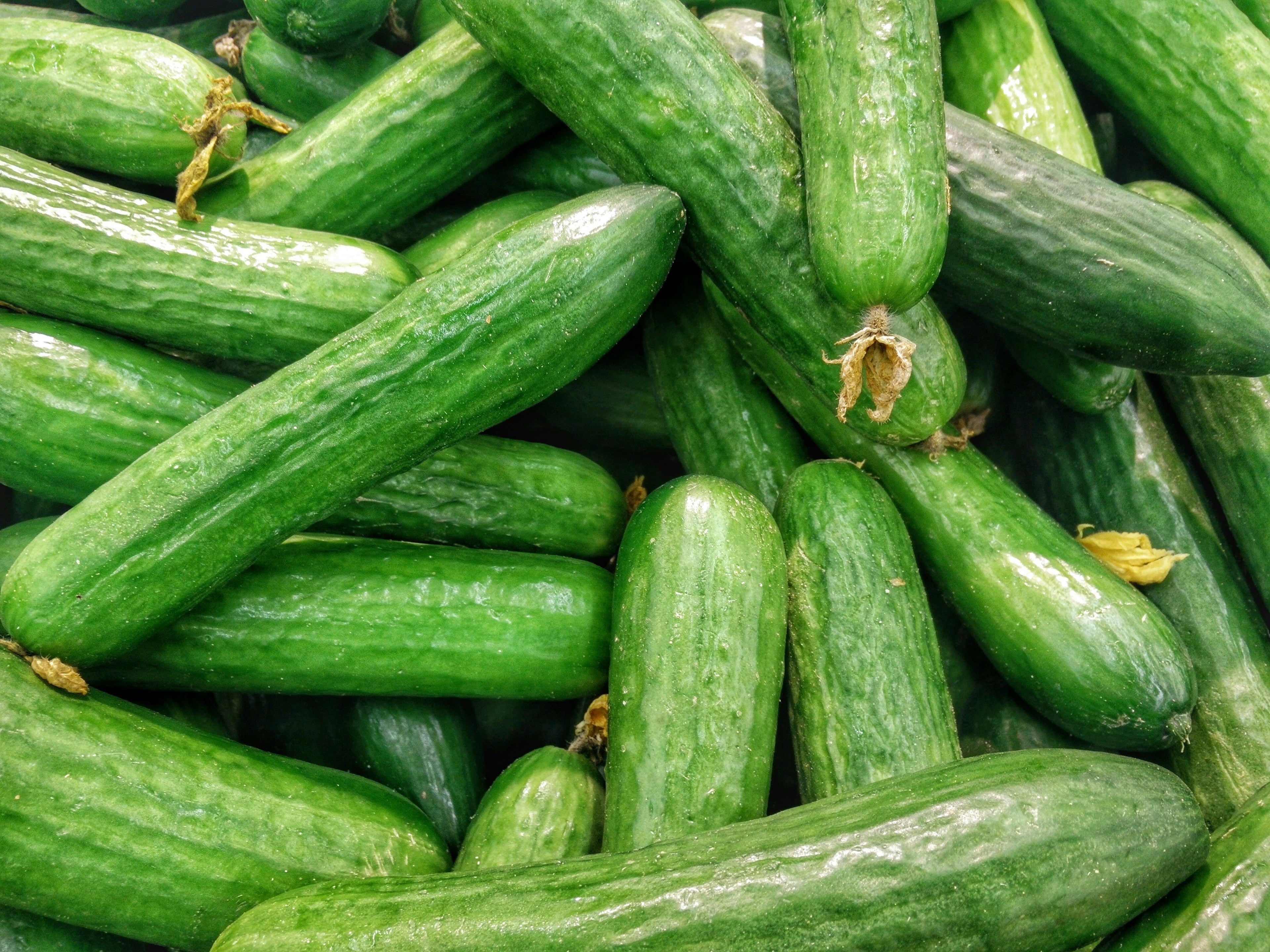 Cucumber Seeds - Small Garden Sowing