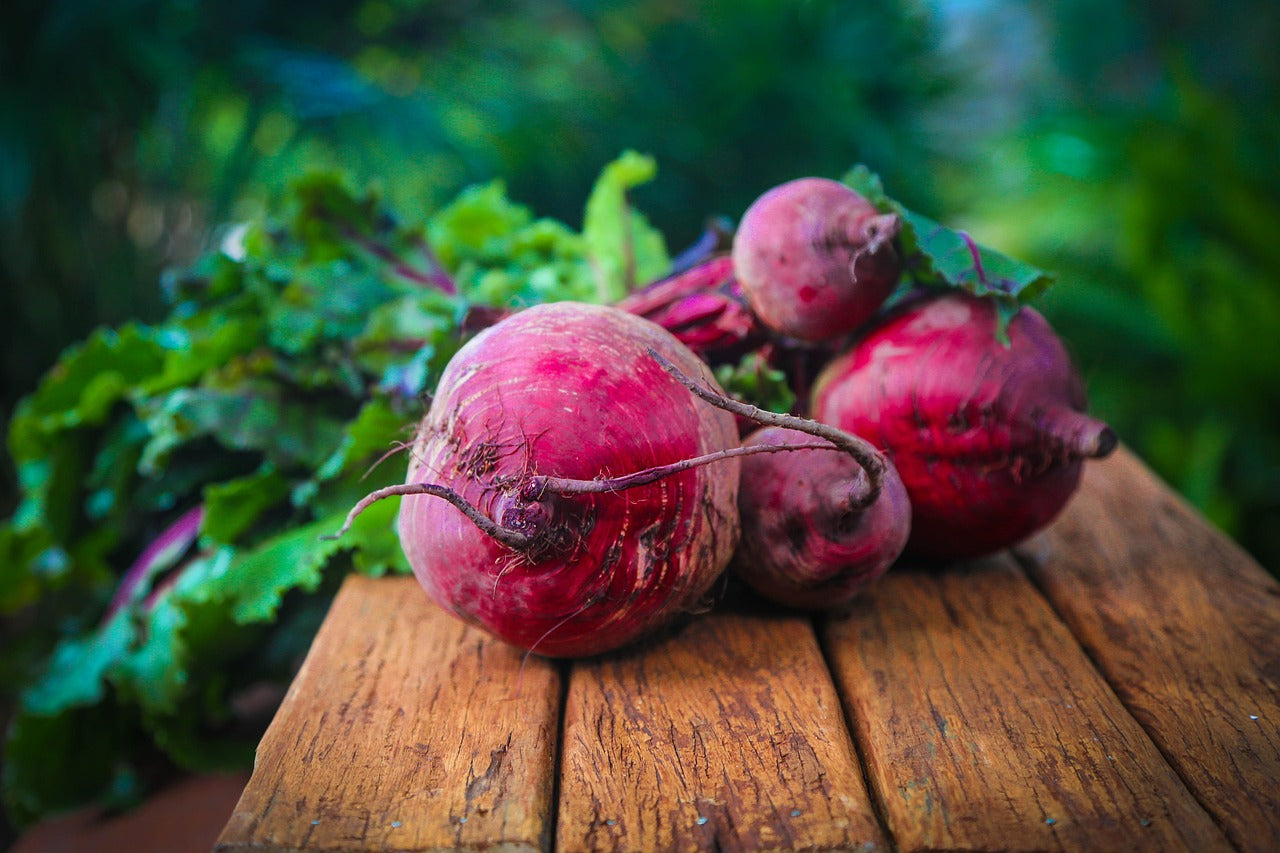 Beetroot Seeds - Small Garden Sowing