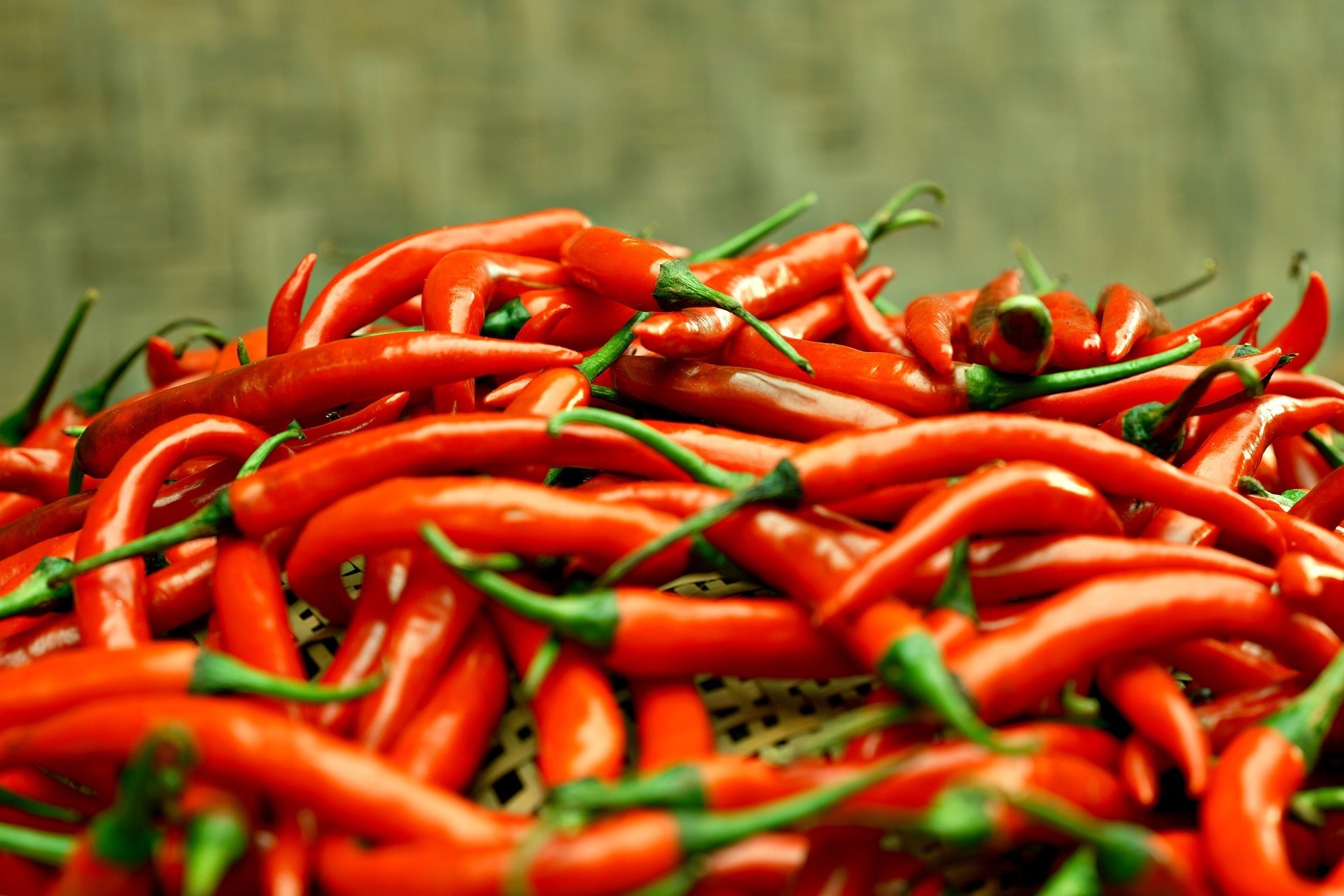 Chilli Seeds – Small Garden Sowing