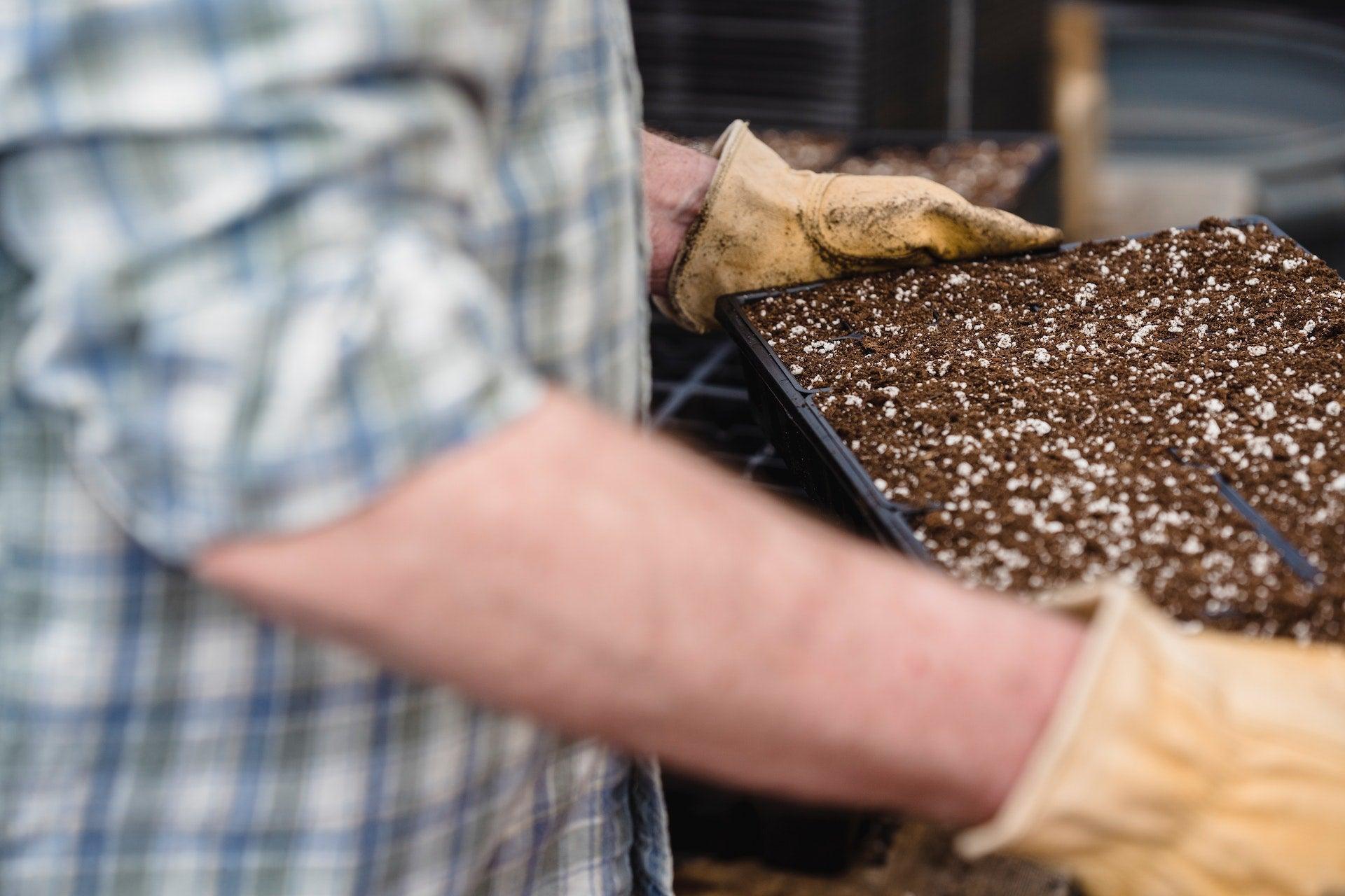 Shop All Seeds - Small Garden Sowing