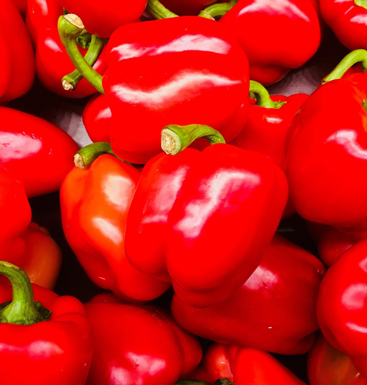 Pepper Seeds - Small Garden Sowing
