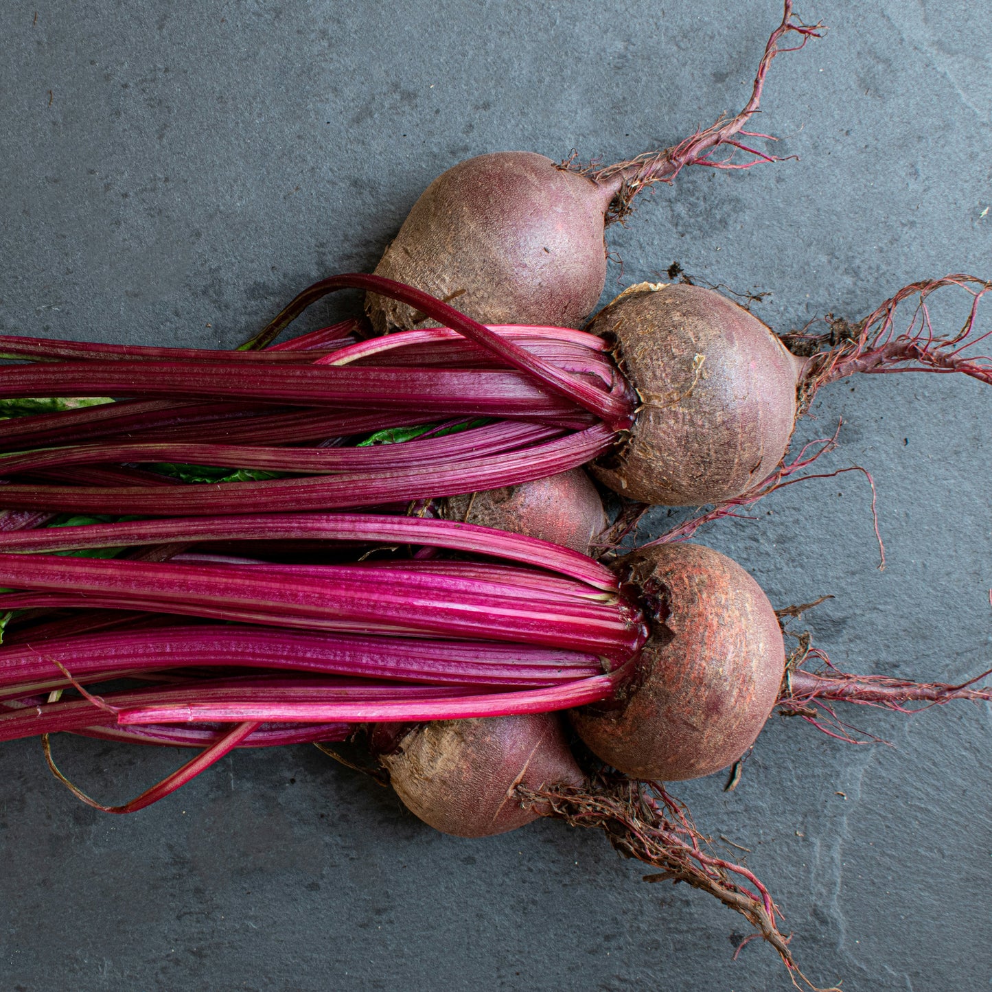 Beetroot - Boltardy - 50 seeds - Small Garden Sowing