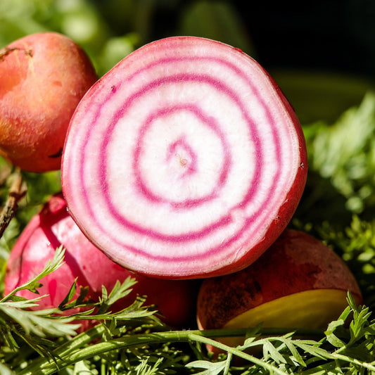 Beetroot - Chioggia - 30 seeds - Small Garden Sowing