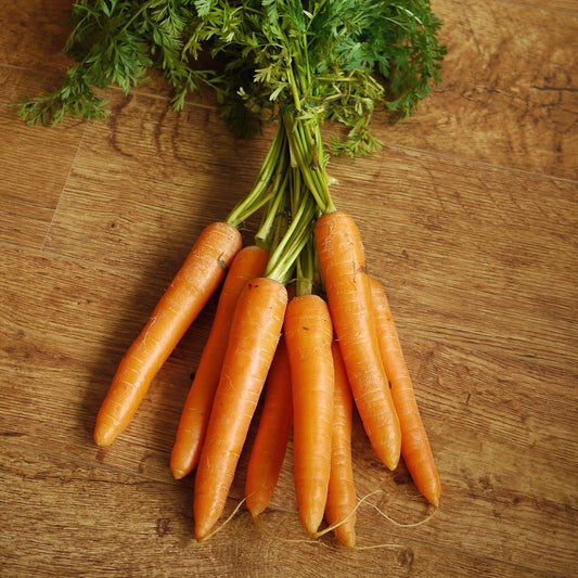 Carrot - Early Nantes - 100 seeds - Small Garden Sowing