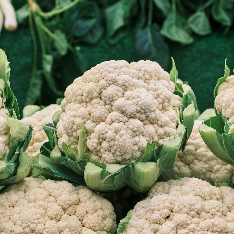 Cauliflower - Igloo - 50 seeds - Small Garden Sowing