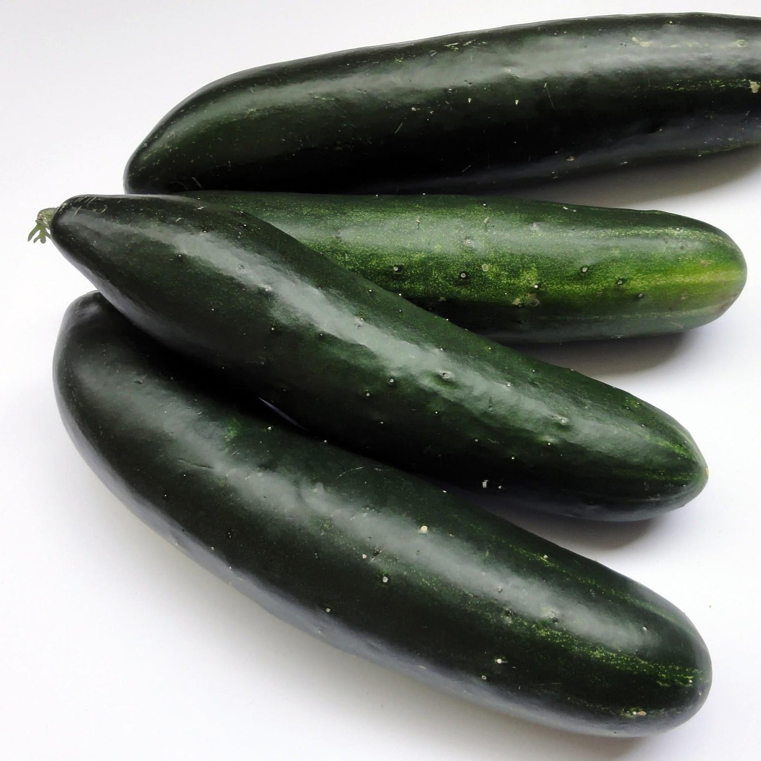 Cucumber - Marketmore - 10 seeds - Small Garden Sowing