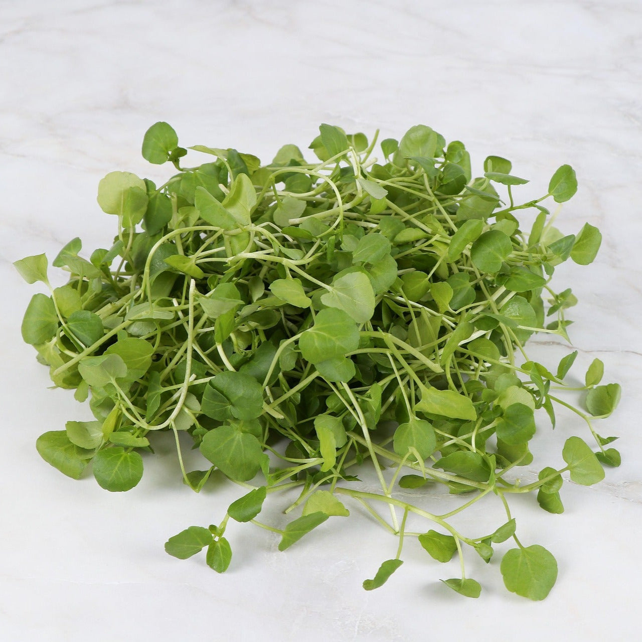 Garden Cress - American Land - 100 seeds - Small Garden Sowing