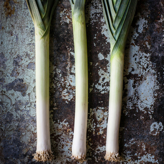 Leek - Blue De Solaise - 50 seeds - Small Garden Sowing