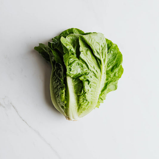 Lettuce - Little Gem - 50 seeds - Small Garden Sowing