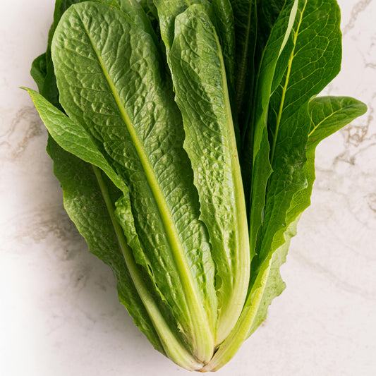 Lettuce - Romaine - Parris Island Cos - 50 seeds - Small Garden Sowing