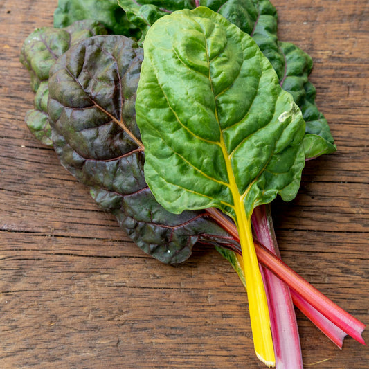 Chard - Swiss Chard - Rainbow Mix - 50 seeds - Small Garden Sowing