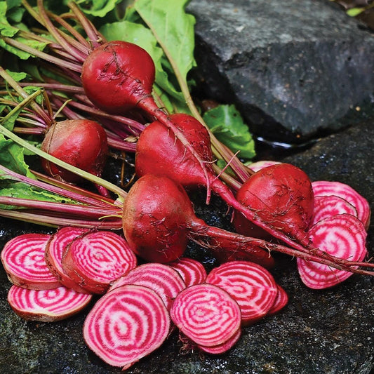 Beetroot - Chioggia - 30 seeds - Small Garden Sowing