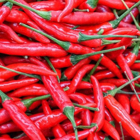 Chilli - De Cayenne - 10 seeds - Small Garden Sowing
