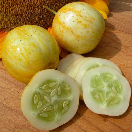 Cucumber - Crystal Lemon - 10 seeds - Small Garden Sowing