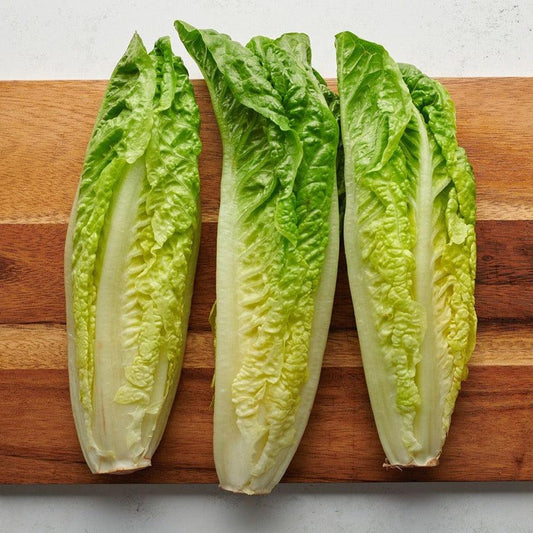 Lettuce - Romaine - Parris Island Cos - 50 seeds - Small Garden Sowing