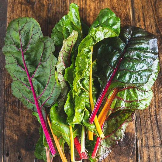 Chard - Swiss Chard - Rainbow Mix - 50 seeds - Small Garden Sowing